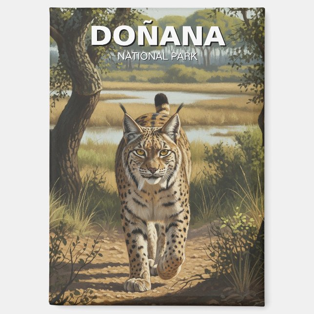 Iberian Lynx in Donana National Park Travel Magnet (Front)
