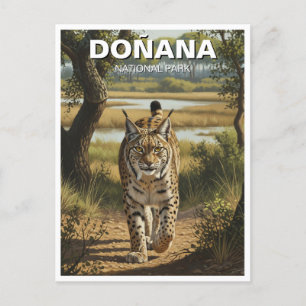 Iberian Lynx in Donana National Park Travel Postcard