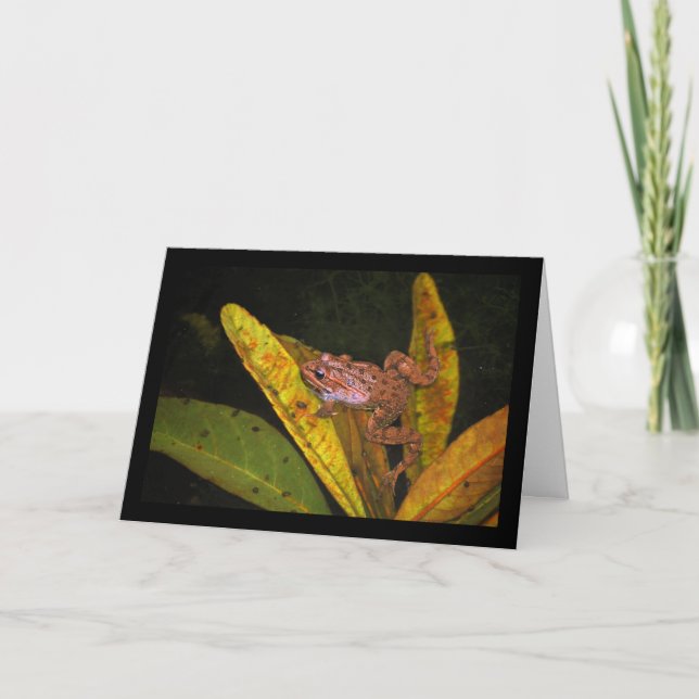 Iberian Water Frog Portrait Card (Front)