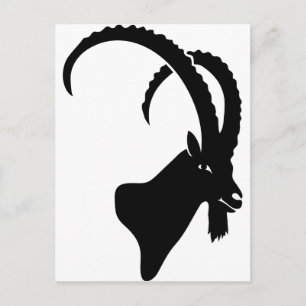 ibex capricorn steinbock mountain goat sheep climb postcard