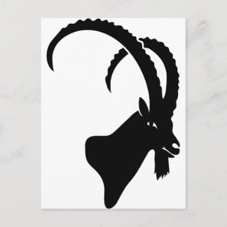 ibex capricorn steinbock mountain goat sheep climb postcard