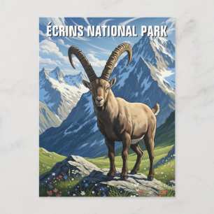 Ibex in Écrins National Park France Travel Postcard
