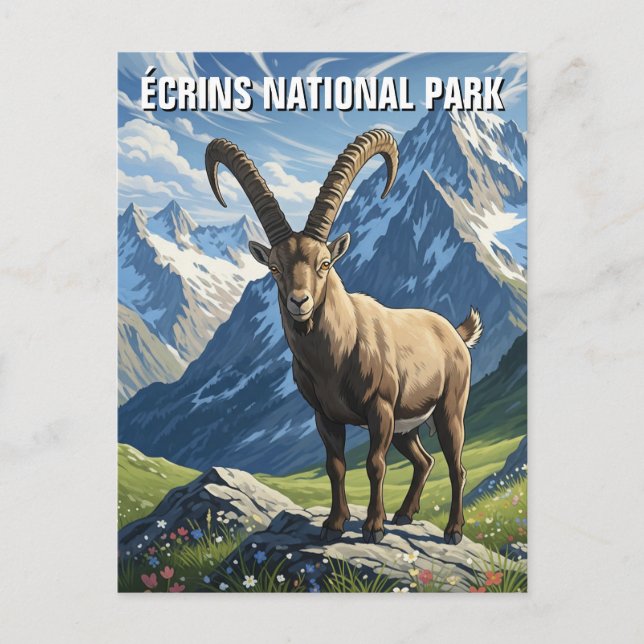 Ibex in Écrins National Park France Travel Postcard (Front)