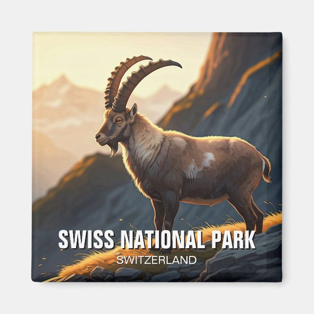 Ibex in Swiss National Park Switzerland Magnet (Front)
