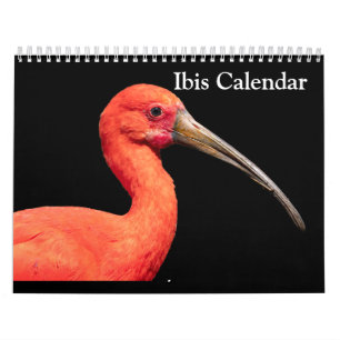 Ibis 2025 Calendar