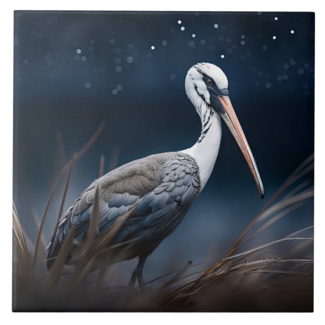 Ibis at midnight ceramic tile (Front)