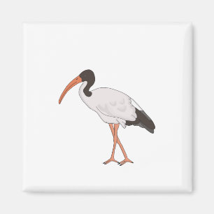 Ibis Bin Chicken Bird Magnet