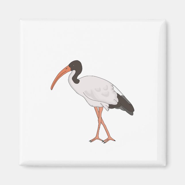 Ibis Bin Chicken Bird Magnet (Front)