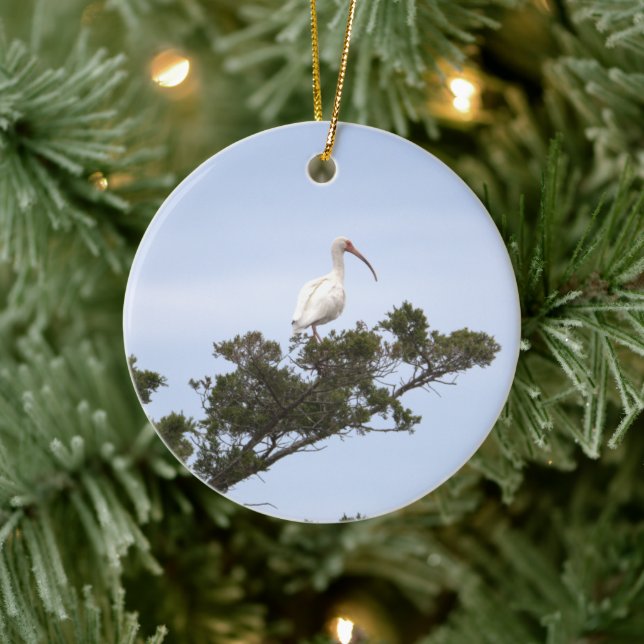 Ibis Bird Ornament (Tree)