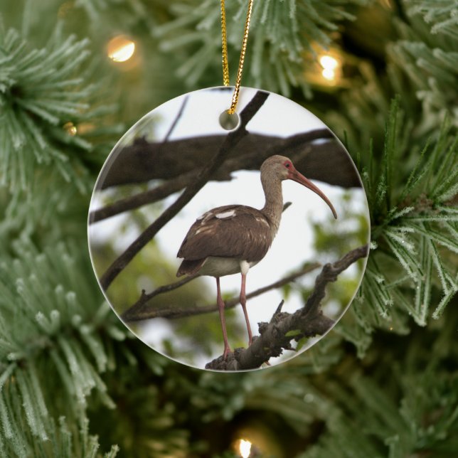 Ibis Bird Ornament (Tree)