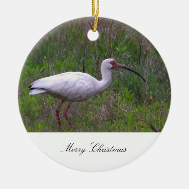 Ibis Bird Photo Ornament (Front)