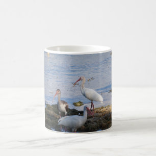 Ibis birds on the shore of Florida Bay Coffee Mug