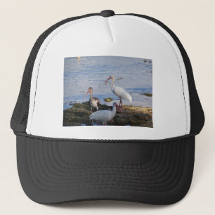 Ibis birds on the shore of Florida Bay Trucker Hat