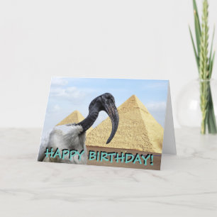 Ibis customisable birthday card