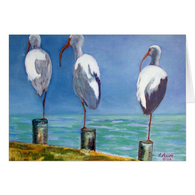 Ibis Design (Front Horizontal)