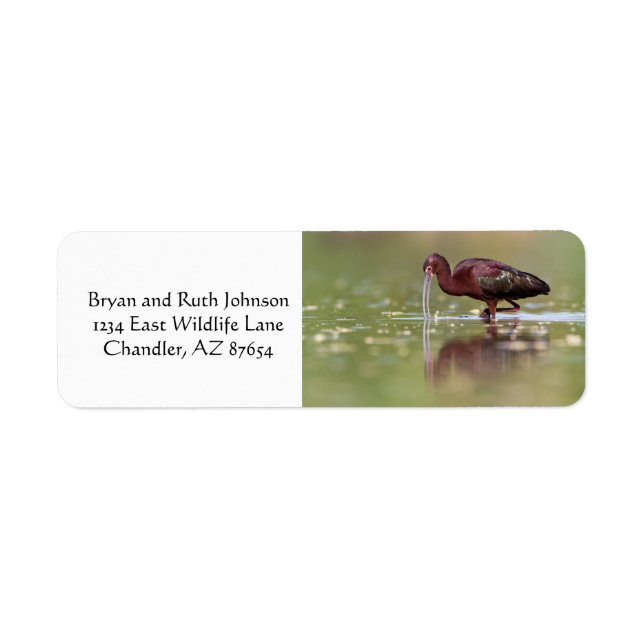 Ibis in the Ponds Return Address Label (Front)