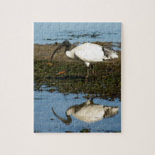 Ibis Jigsaw Puzzle
