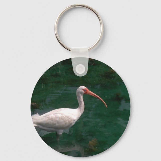 Ibis Key Ring (Front)