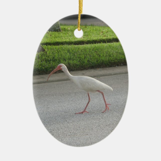 Ibis Walking Ornament (Front)
