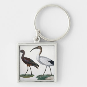 Ibises, from 'Description de l'Eypte', 1817 Key Ring