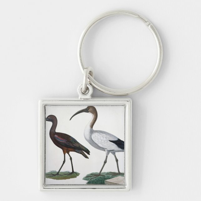 Ibises, from 'Description de l'Eypte', 1817 Key Ring (Front)