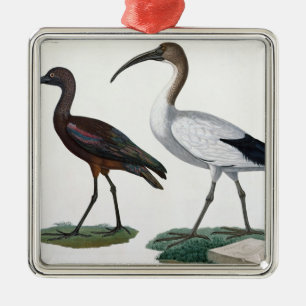 Ibises, from 'Description de l'Eypte', 1817 Metal Ornament