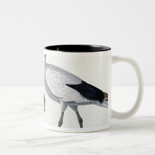 Ibises, from 'Description de l'Eypte', 1817 Two-Tone Coffee Mug