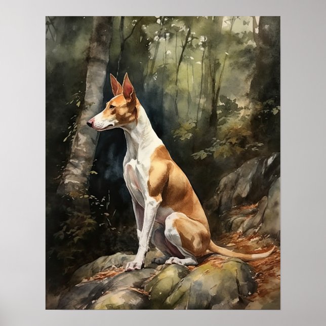 Ibizan Hound Dog Art Print Poster (Front)