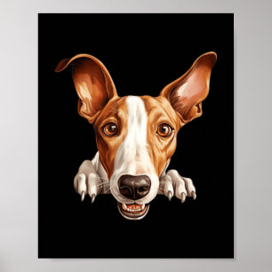 Ibizan Hound Dog Mum Dad Peeking Puppy Poster