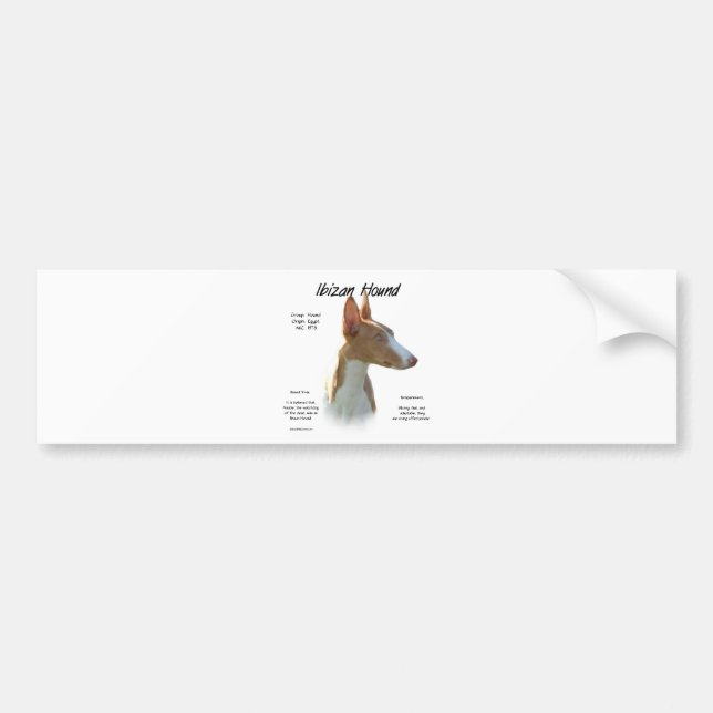 Ibizan Hound History Design Bumper Sticker (Front)