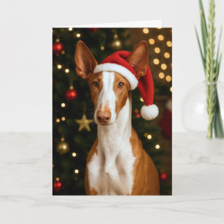 Ibizan Hound Holiday Card