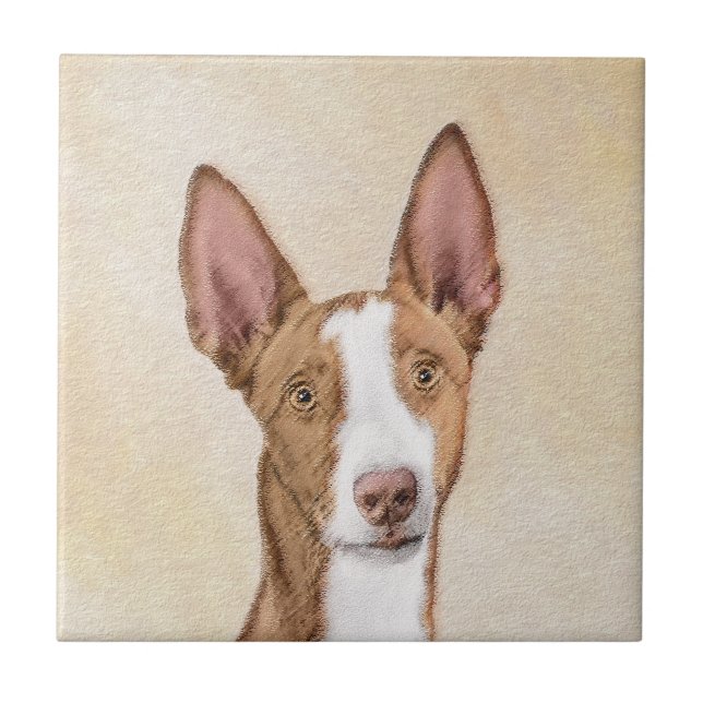 Ibizan Hound Painting - Cute Original Dog Art Ceramic Tile (Front)