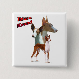Ibizan Hound Trio 2 - Button