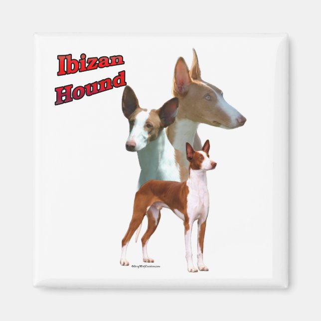 Ibizan Hound Trio 2 - Magnet (Front)