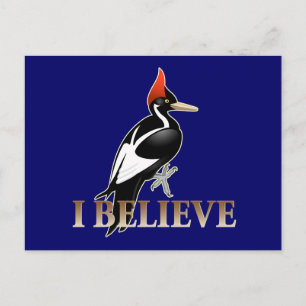 IBWO: I Believe Postcard