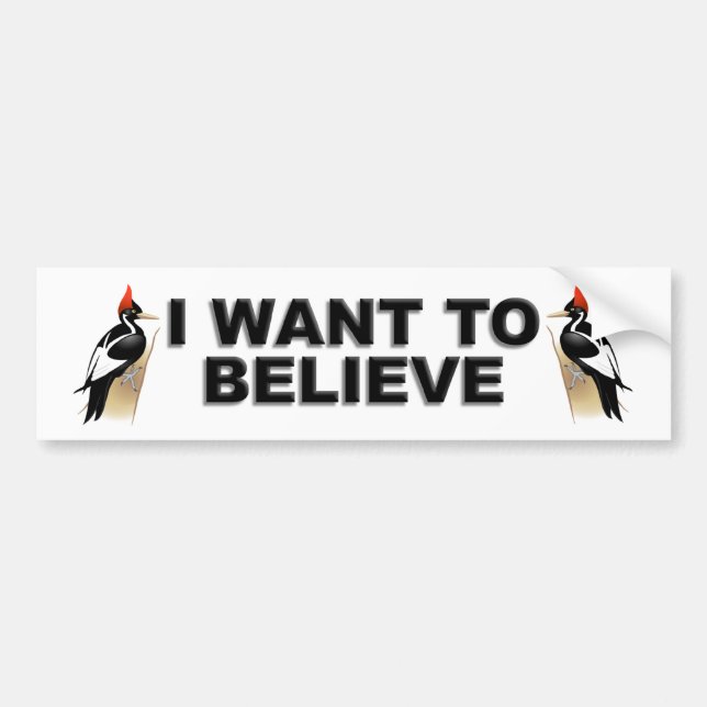 IBWO: I Want To Believe Bumper Sticker (Front)
