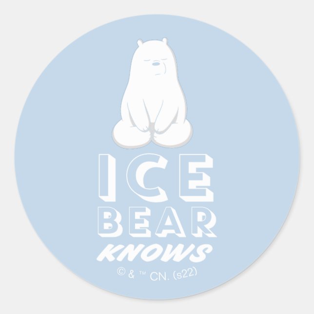 Ice Bear Knows Classic Round Sticker (Front)
