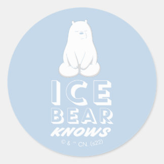 Ice Bear Knows Classic Round Sticker