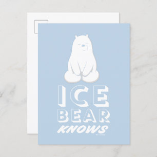 Ice Bear Knows Postcard