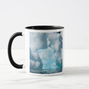 Ice Bergs off of the southern tip of South Mug