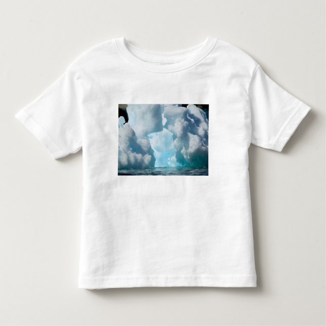 Ice Bergs off of the southern tip of South Toddler T-Shirt (Front)