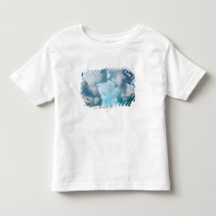 Ice Bergs off of the southern tip of South Toddler T-Shirt