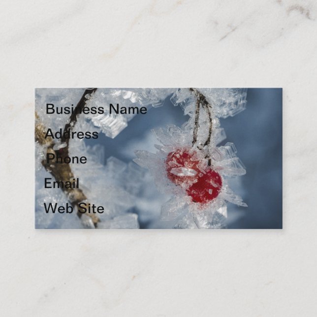 Ice Berries Business Card (Front)