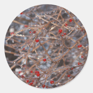 Ice Berries Classic Round Sticker