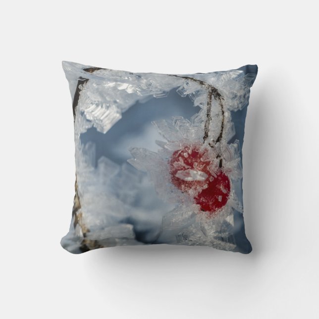 Ice Berries Cushion (Front)