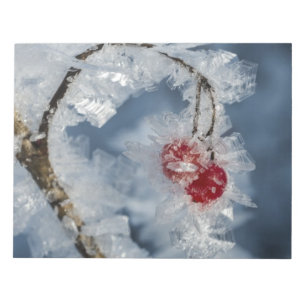 Ice Berries Notepad