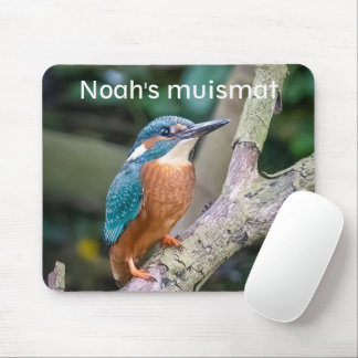 Ice bird mouse pad