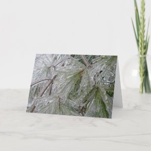 Ice-Coated Pine Bough Note Card