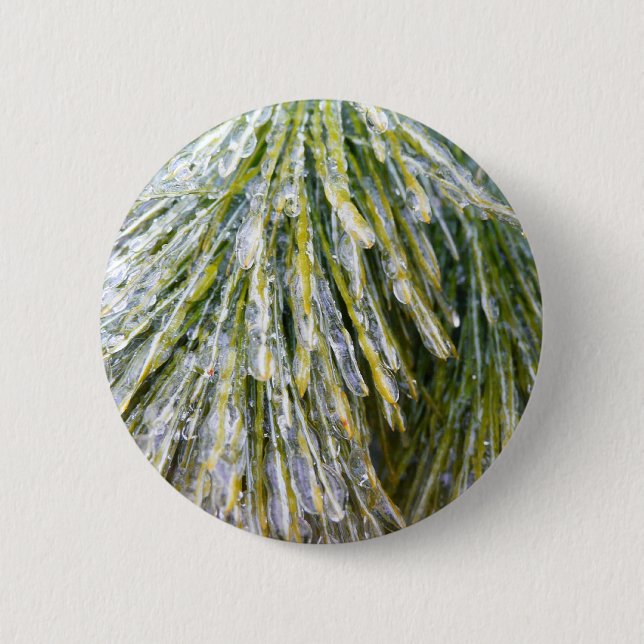 Ice Coated Pine Needles Winter Botanical 6 Cm Round Badge (Front)