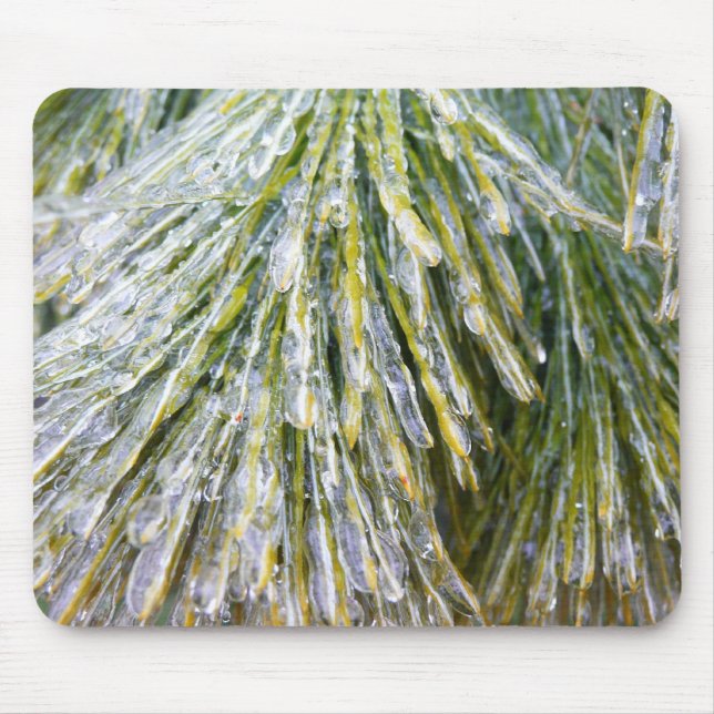 Ice Coated Pine Needles Winter Botanical Mouse Pad (Front)